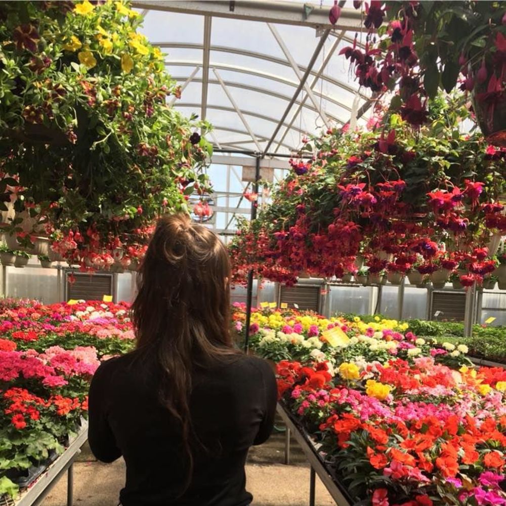 Meet your Posher, Kelsey